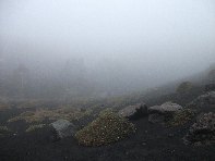 Serra_delle_Concazze - 20100425 032.jpg